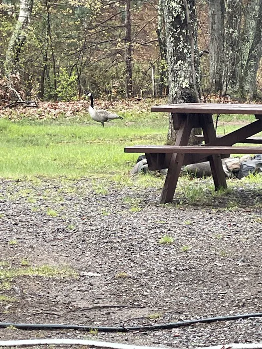 Birchwood Campground 4