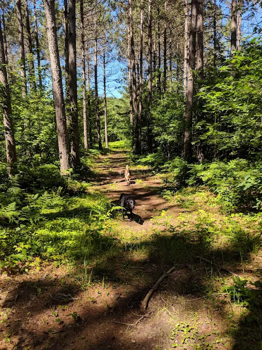 Birchwood Campground 8