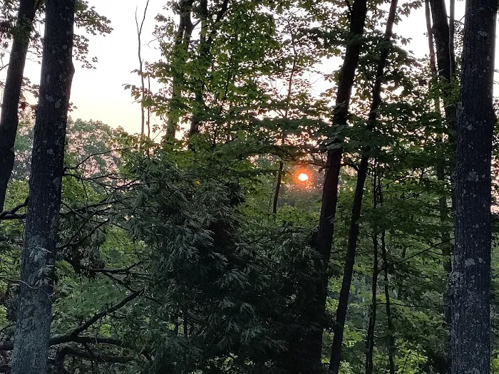 Birchwood Campground 5