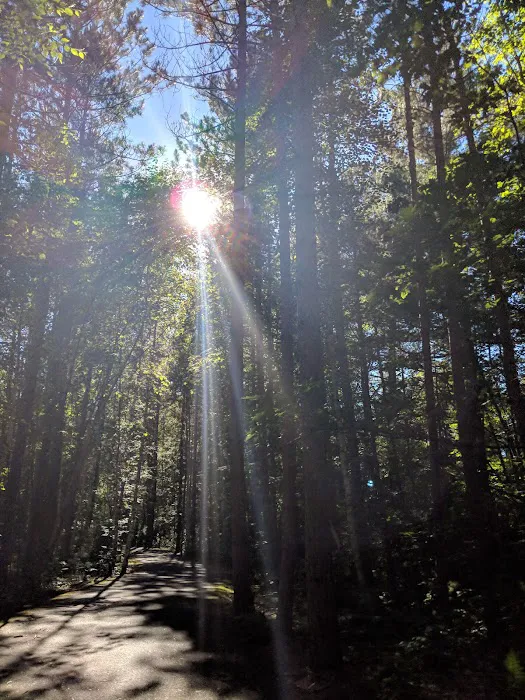 Birchwood Campground 1