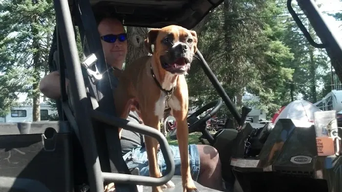 Arbor Vitae Campground 8