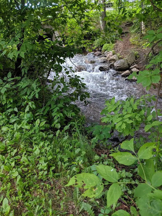 Arbor Vitae Campground 6