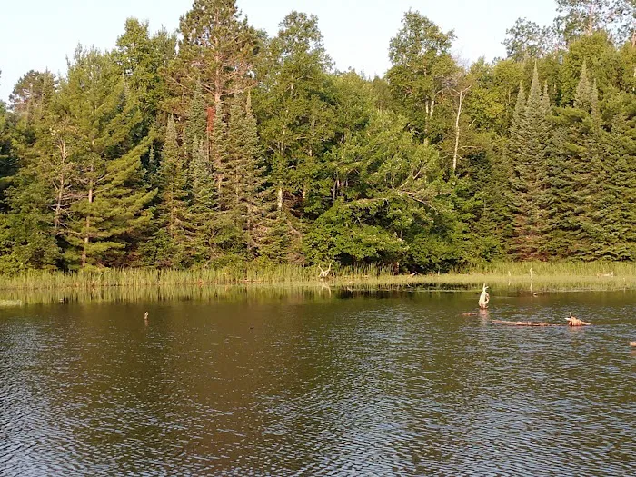 Island Lake Campsite 6