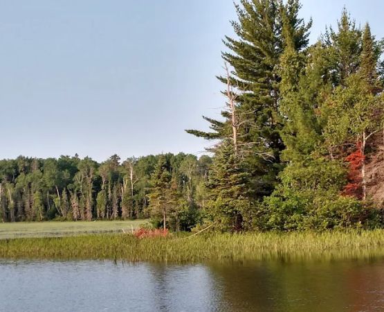 Island Lake Campsite