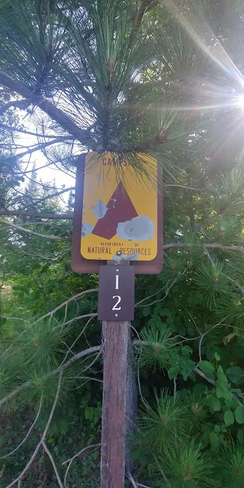 Island Lake Campsite 1