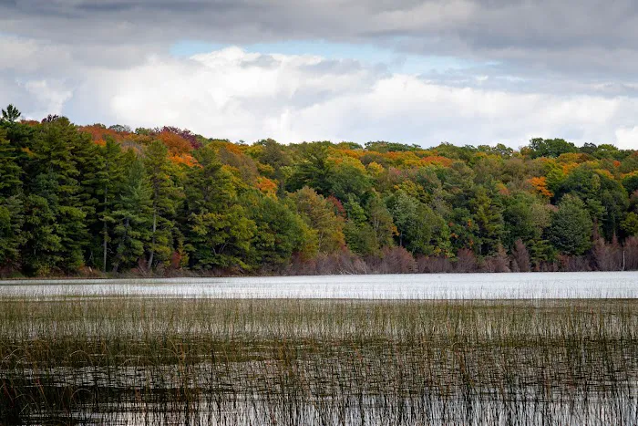 West Star Lake Campground 6