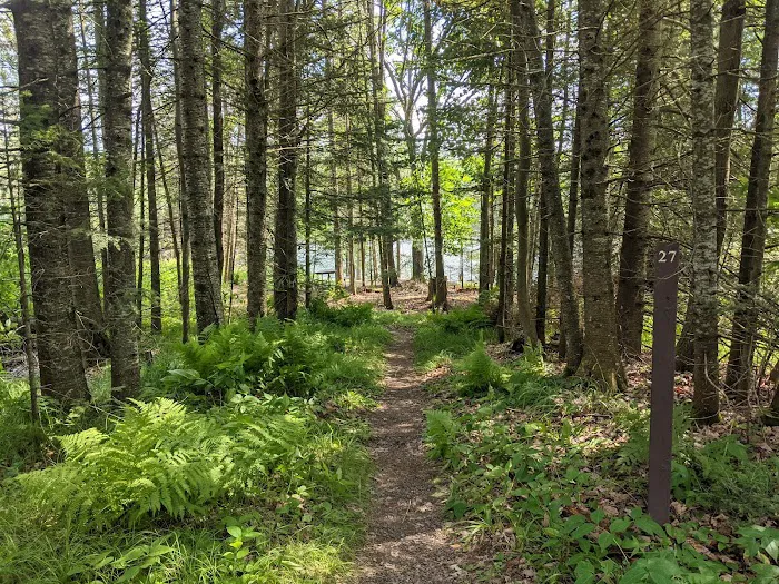 East Star Lake Campground 7