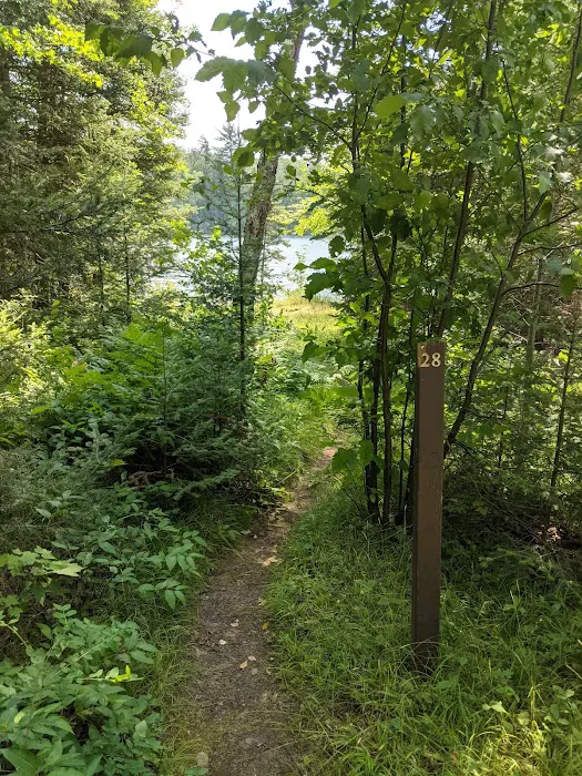 East Star Lake Campground 9
