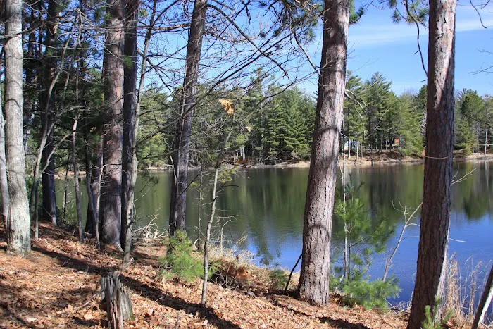 Patricia Lake Campgrounds, Inc 9