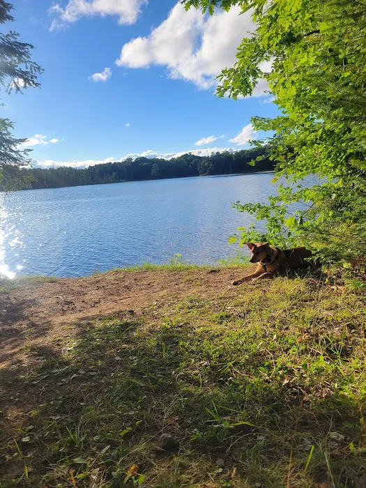 Carrol Lake Campground 9