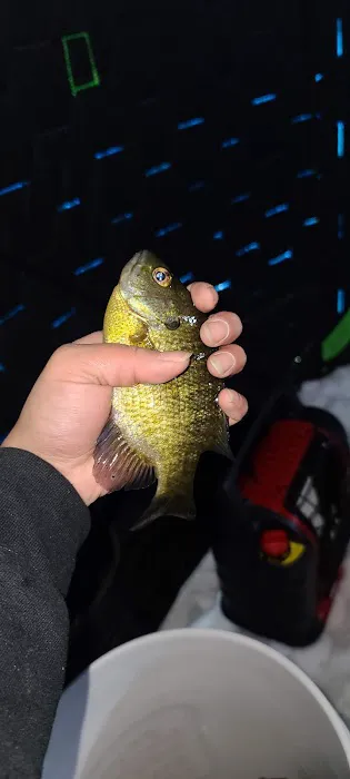 Carrol Lake Campground 2
