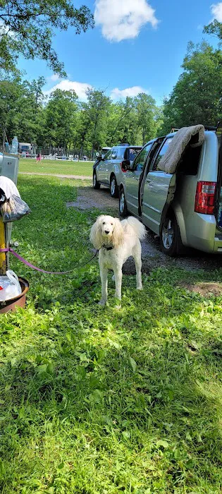 Wannabee Campground 4