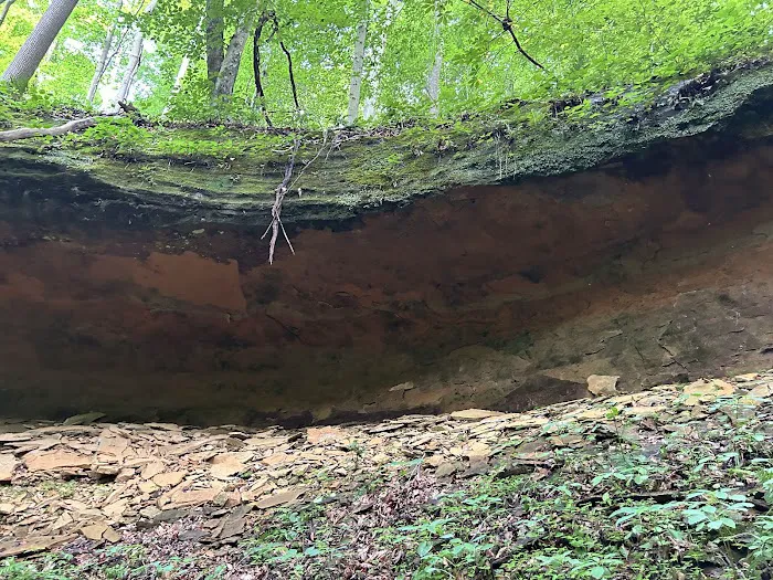 Rockwood Campground 1