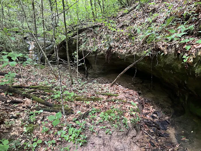 Rockwood Campground 3