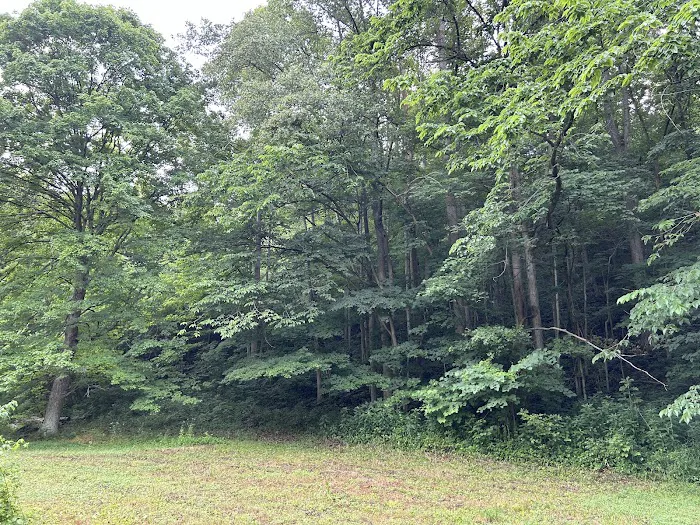 Rockwood Campground 6