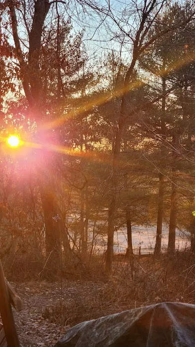 Trothwood Forest 0