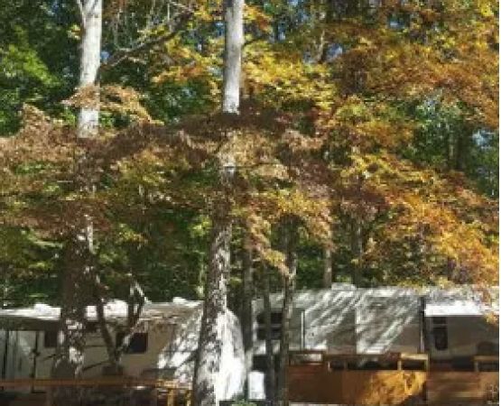 Walnut Creek Campground & Resort