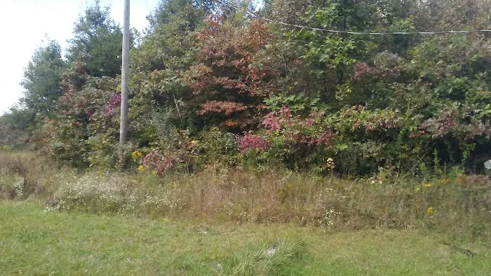 Vinton Furnace State Forest Hunters Camp 5
