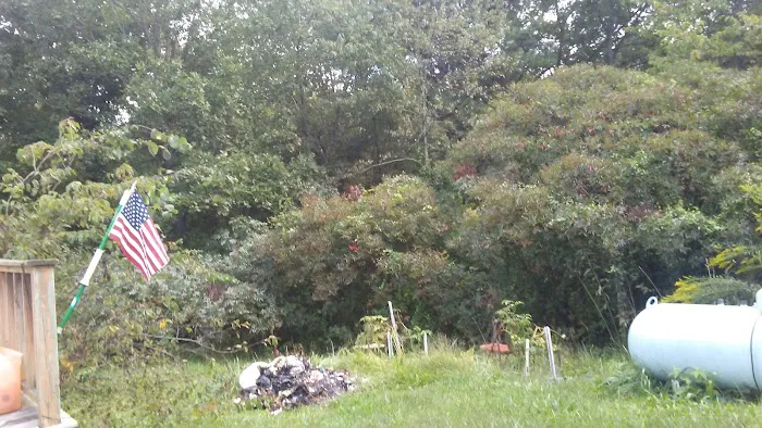 Vinton Furnace State Forest Hunters Camp 2