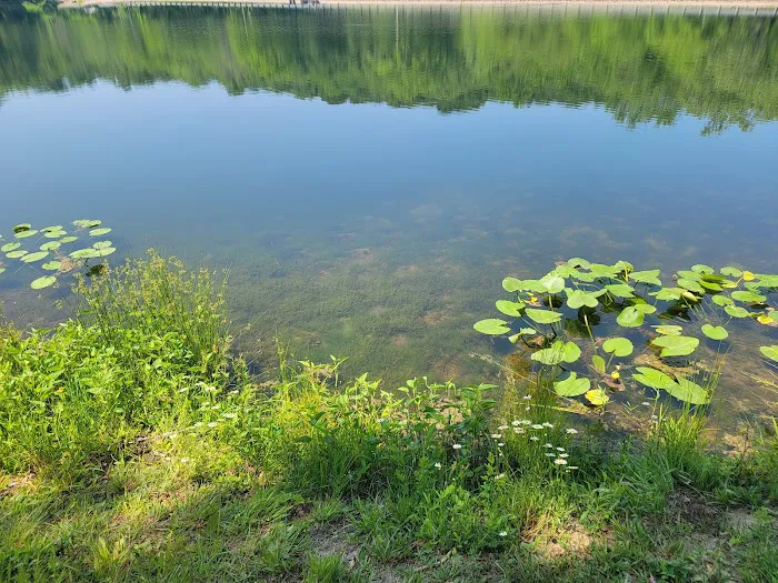 Lake Alma State Park Campground 5