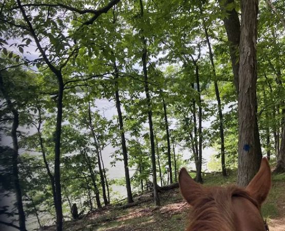 Dillon State Park Horseman's Campground