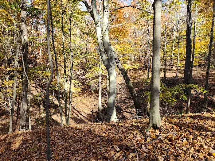 Dillon State Park Campground 9