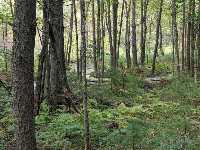McMullen Memorial County Park 3