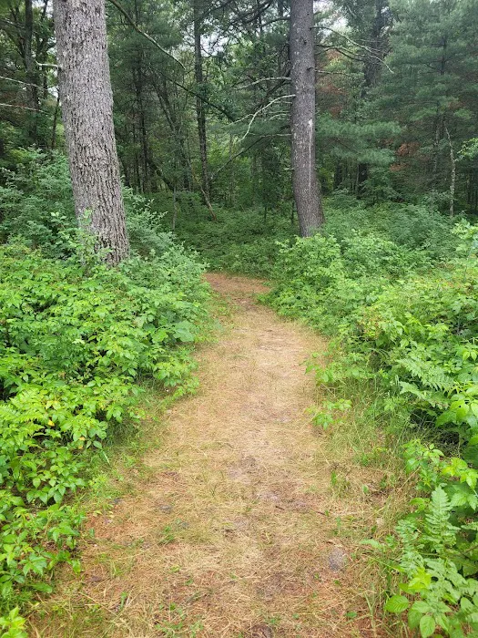 Pine View Campground 9