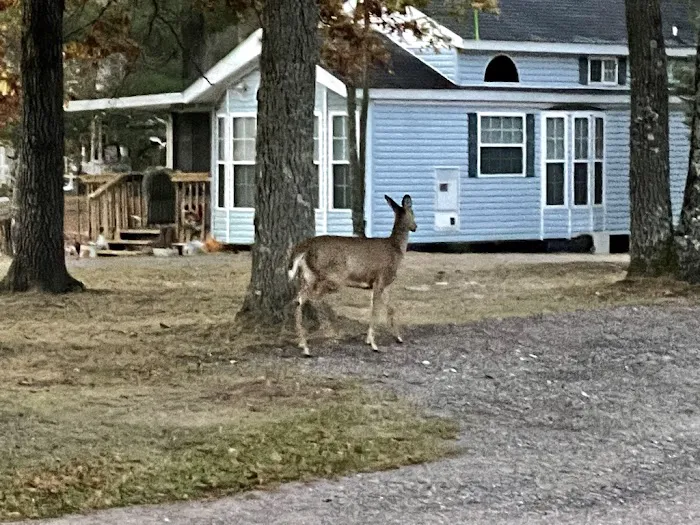 Crane Berry Campground, LLC 0