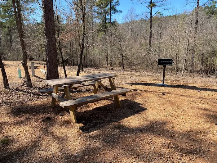 Kick it Back Cabins and RV Park 2