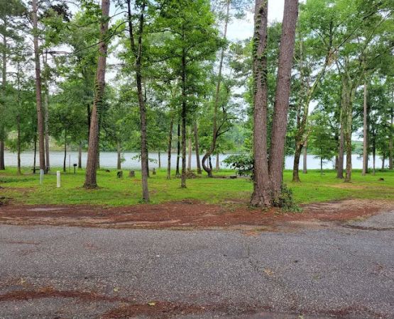 Point Cedar Campground