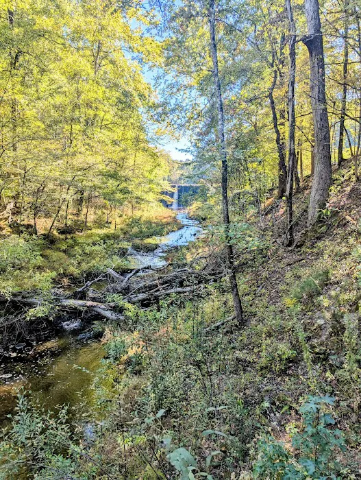 Camp Clearfork 6