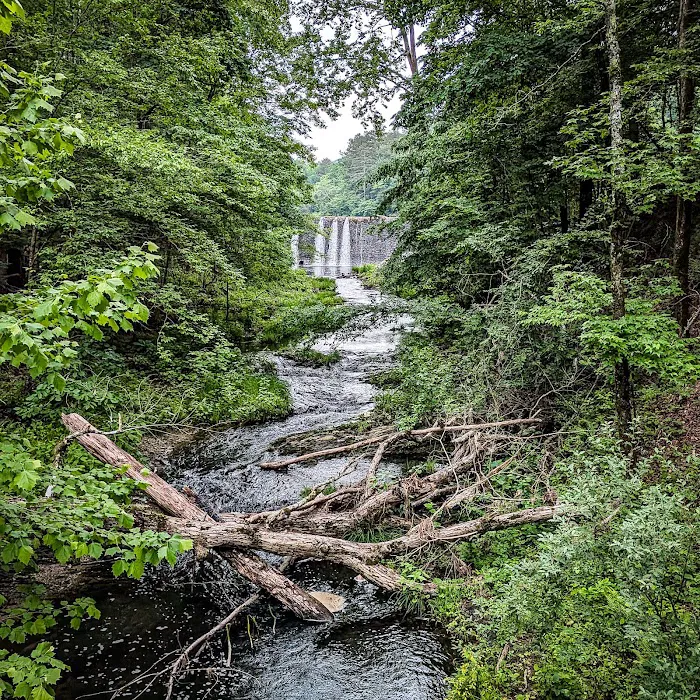 Camp Clearfork 9