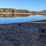 Shouse Ford Use Area