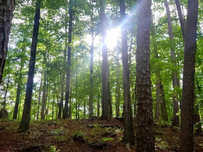 Charlton Recreation Area 4