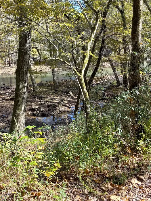 Cossatot Reefs 4