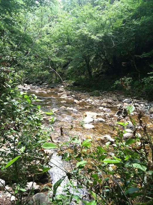 Hickory Nut Mountain Campground 2