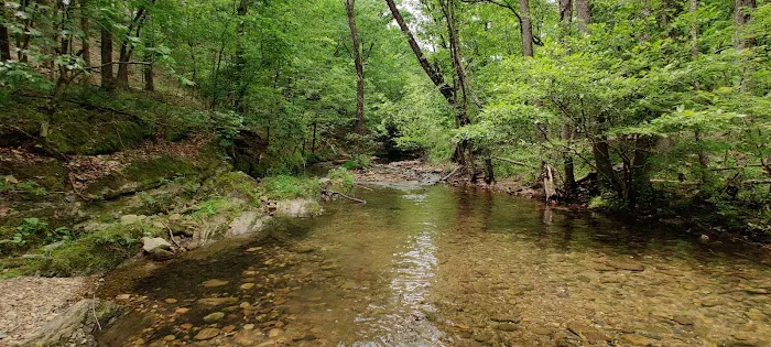 Hickory Nut Mountain Campground 8