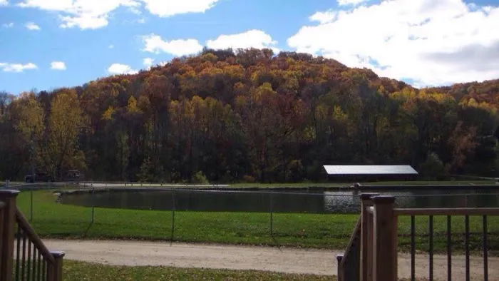 Money Creek Haven, Inc. 1