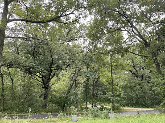 Minneiska Campground 8