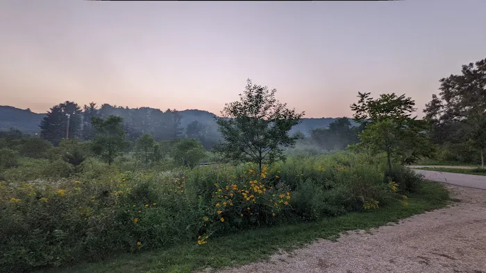 Minneiska Campground 5
