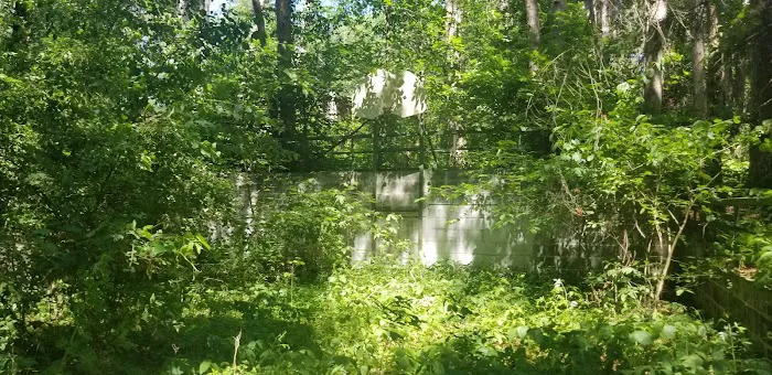 Tomorrow Wood Campground 9