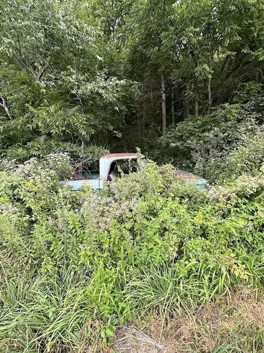 Sampson Springs Campground 7