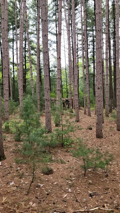 Leon Valley Campground 2