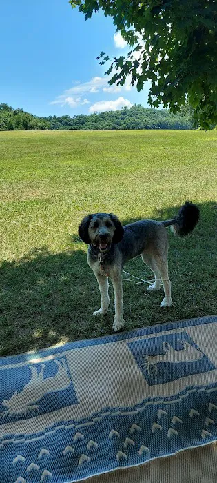 Leon Valley Campground 5