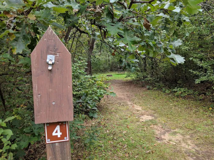 Sparta DNR Campground 6