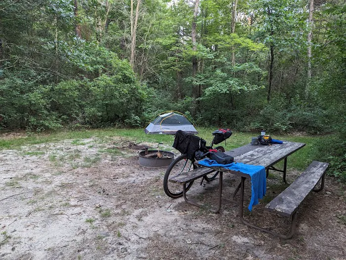 Sparta DNR Campground 9