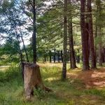 Merlin Lambert County Park
