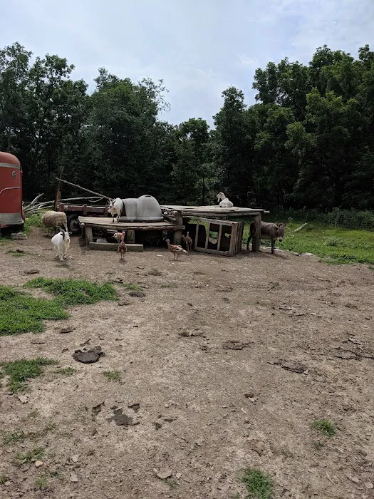Shady Rest Acres 5
