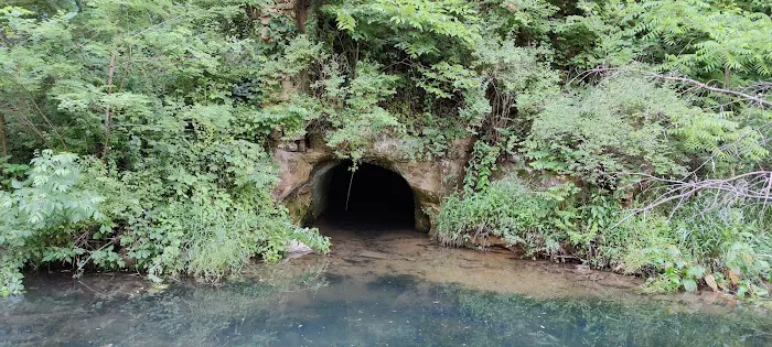 Shady Rest Acres 4